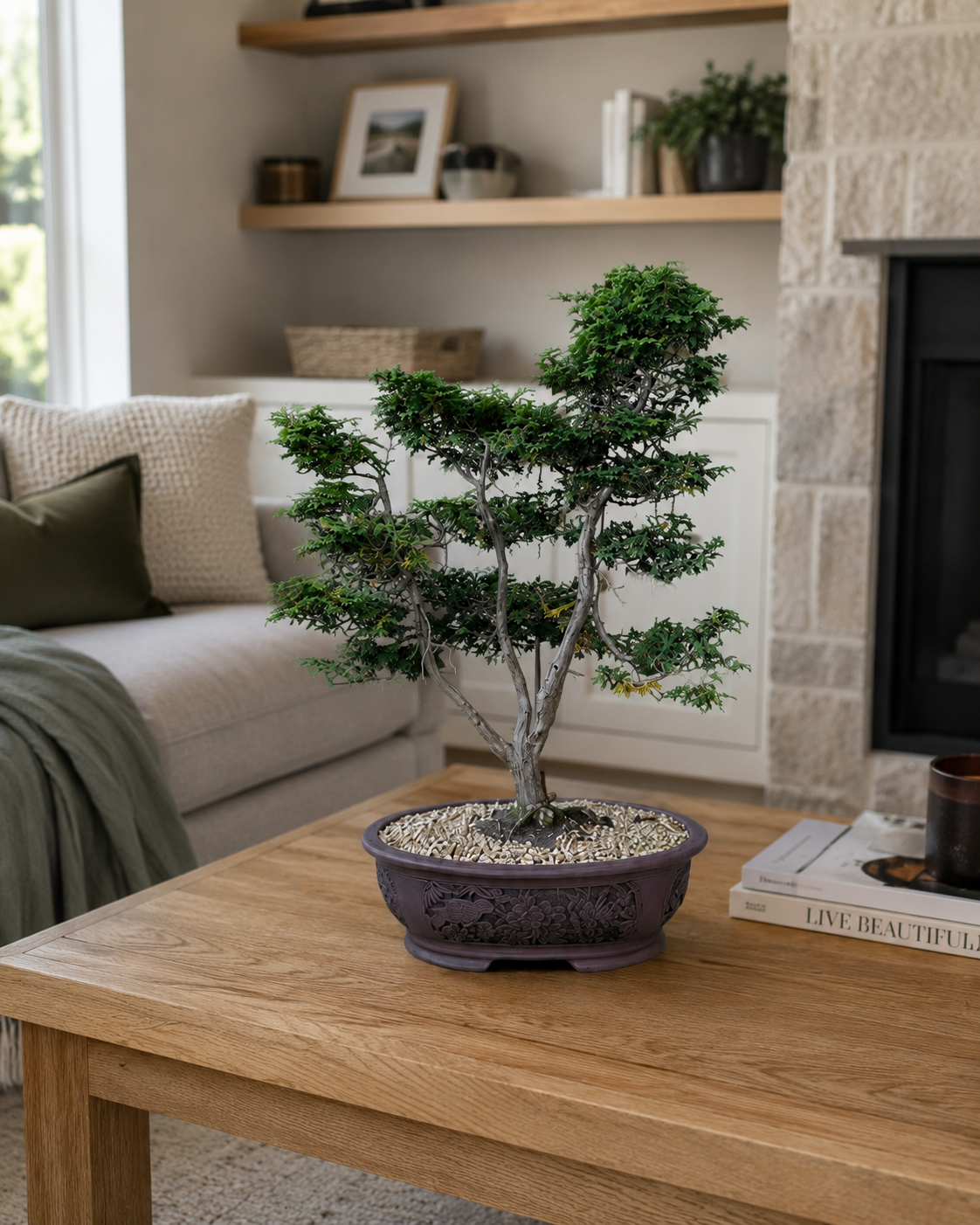 Bonsai Sales