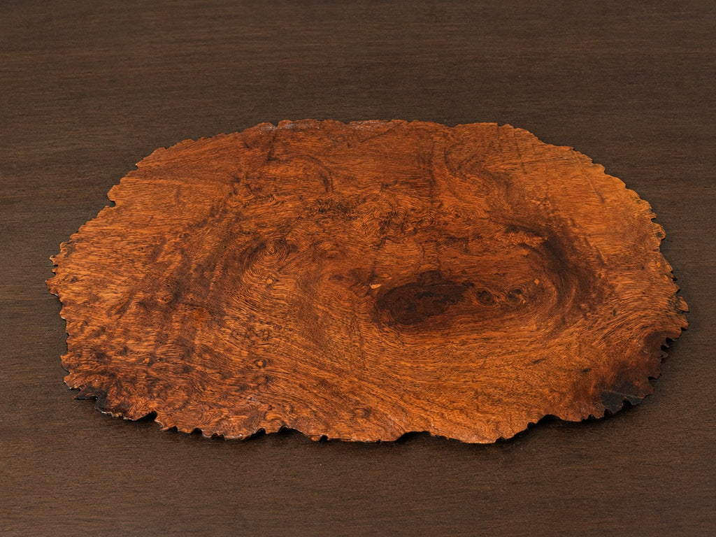 Natural Burl Wood Bonsai Jita