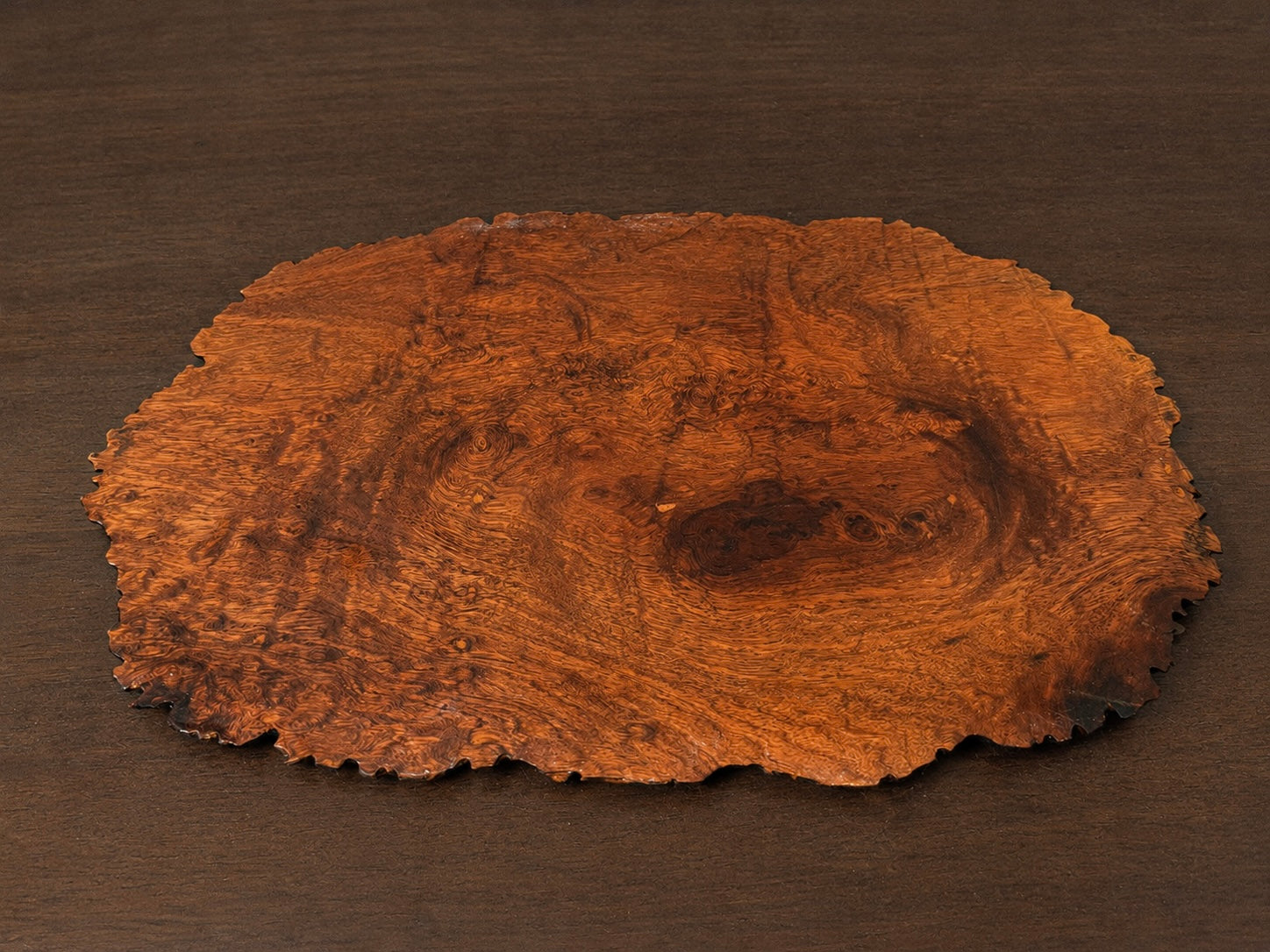 Natural Burl Wood Bonsai Jita