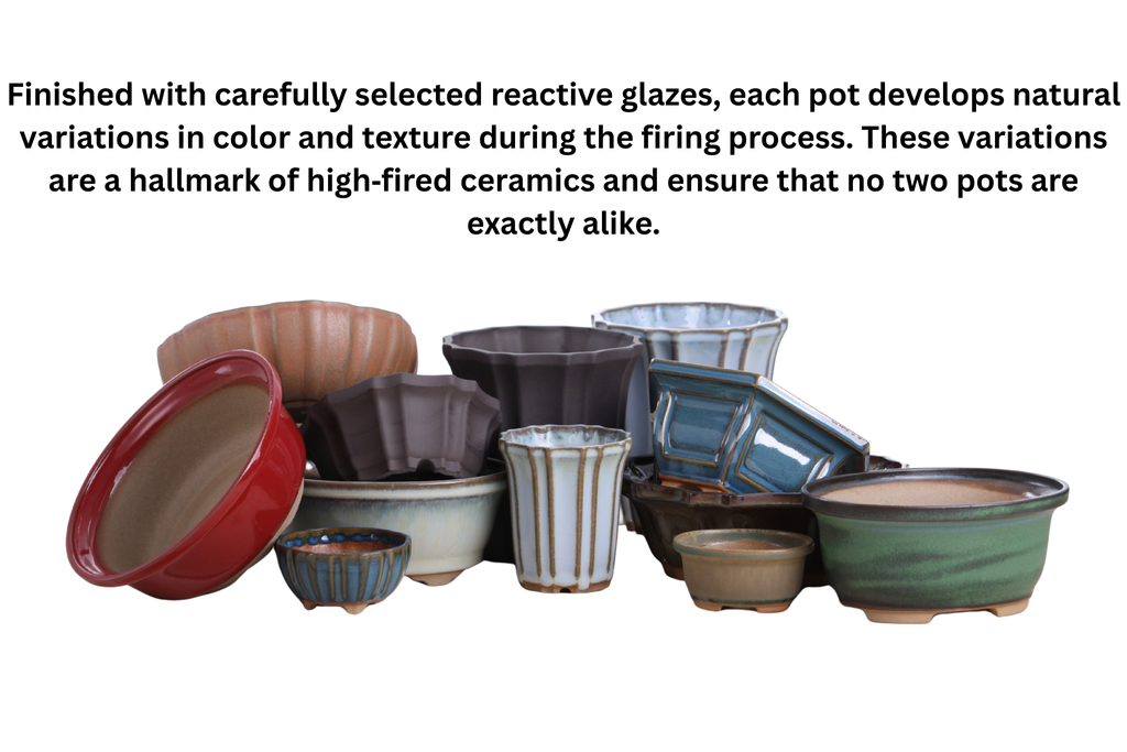 Willow Bonsai Ceramics Flower Design Bonsai Pot 10 Inch – Elegant Ceramic Bonsai & Succulent Planter, High‑Fired Frost‑Proof Stoneware with Drainage & Wiring Holes, Handmade in USA (Avocado)