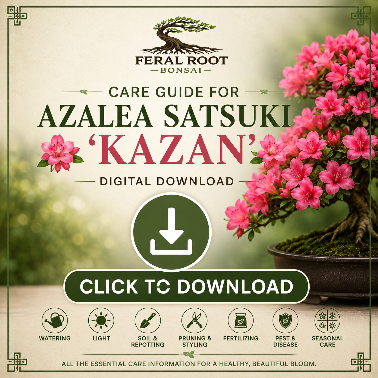 Azalea Satsuki Kazan Care Guide