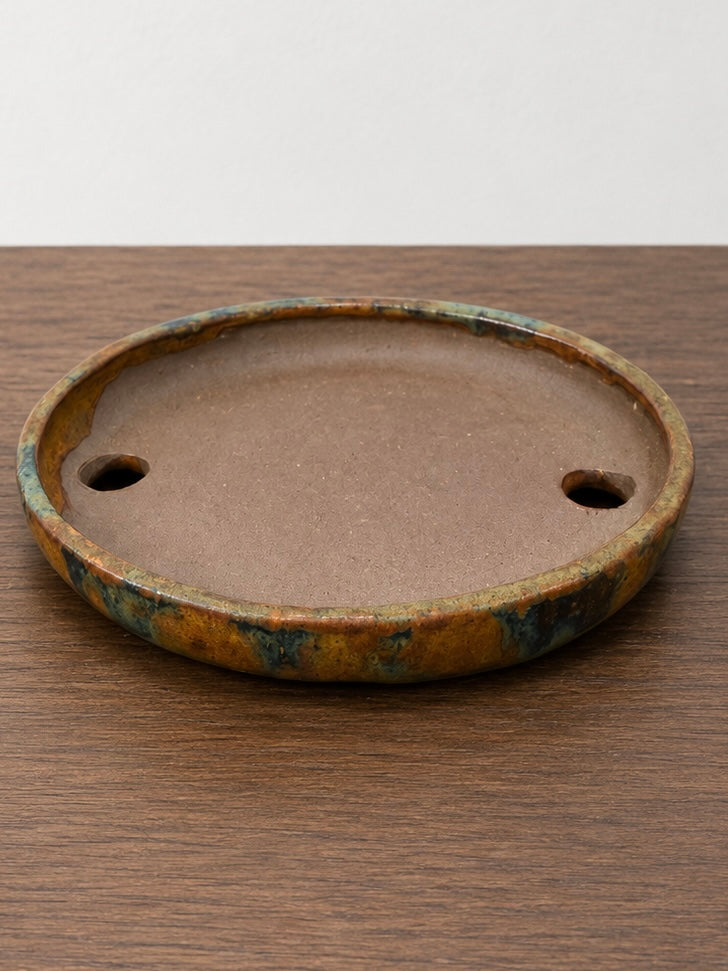 Shozan Japanese Bonsai Pot – Collector Series