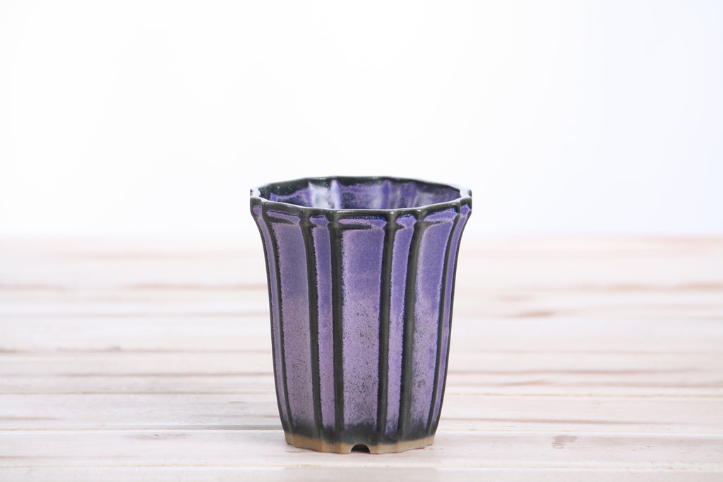 Willow Bonsai Ceramics Flower Design Cascade Bonsai Pot 3 Inch – Elegant Tall Ceramic Bonsai & Succulent Planter, High‑Fired Frost‑Proof Stoneware with Drainage & Wiring Holes, Handmade in USA (Purple)