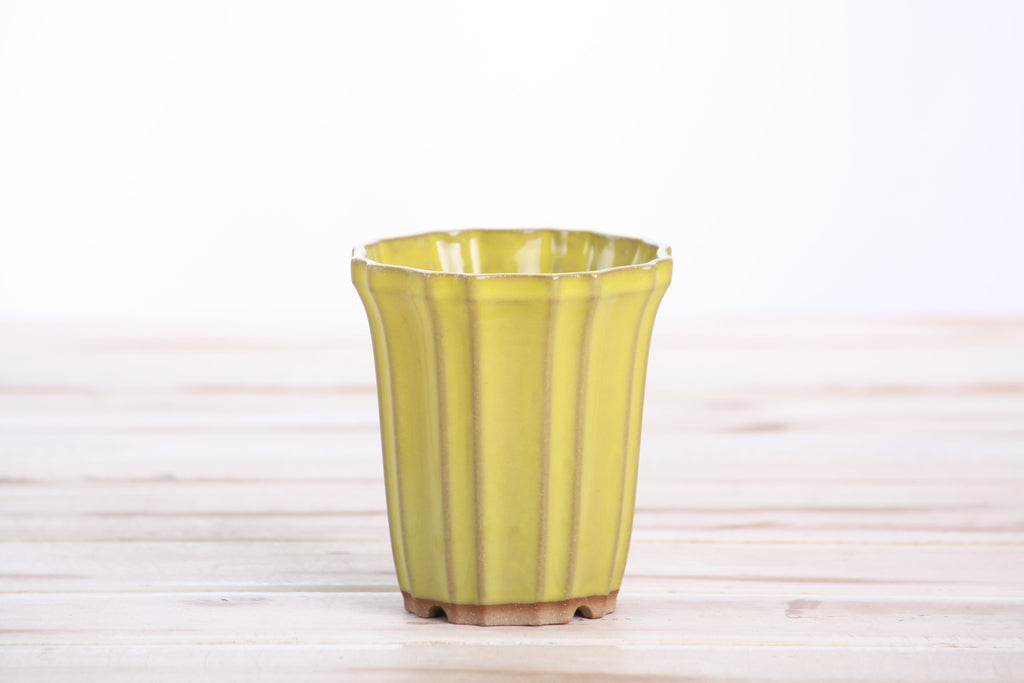 Willow Bonsai Ceramics Flower Design Cascade Bonsai Pot 3 Inch – Elegant Tall Ceramic Bonsai & Succulent Planter, High‑Fired Frost‑Proof Stoneware with Drainage & Wiring Holes, Handmade in USA (Yellow)