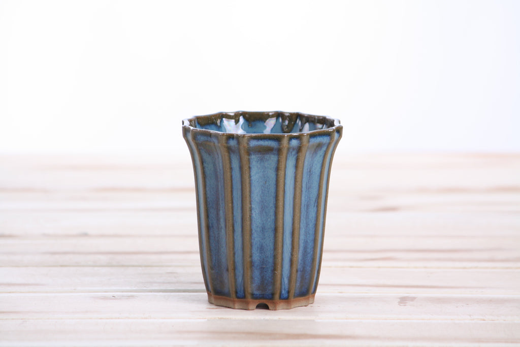 Willow Bonsai Ceramics Flower Design Cascade Bonsai Pot 3 Inch – Elegant Tall Ceramic Bonsai & Succulent Planter, High‑Fired Frost‑Proof Stoneware with Drainage & Wiring Holes, Handmade in USA (Peacock 2025)
