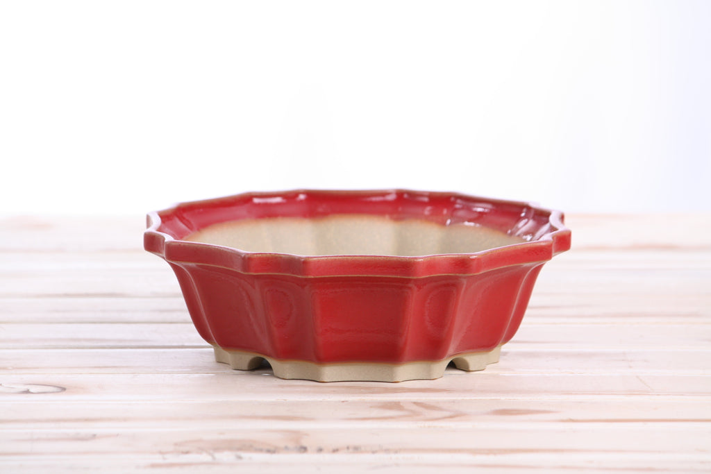 Willow Bonsai Ceramics Flower Design Bonsai Pot 8 Inch – Elegant Ceramic Bonsai & Succulent Planter, High‑Fired Frost‑Proof Stoneware with Drainage & Wiring Holes, Handmade in USA (Red)