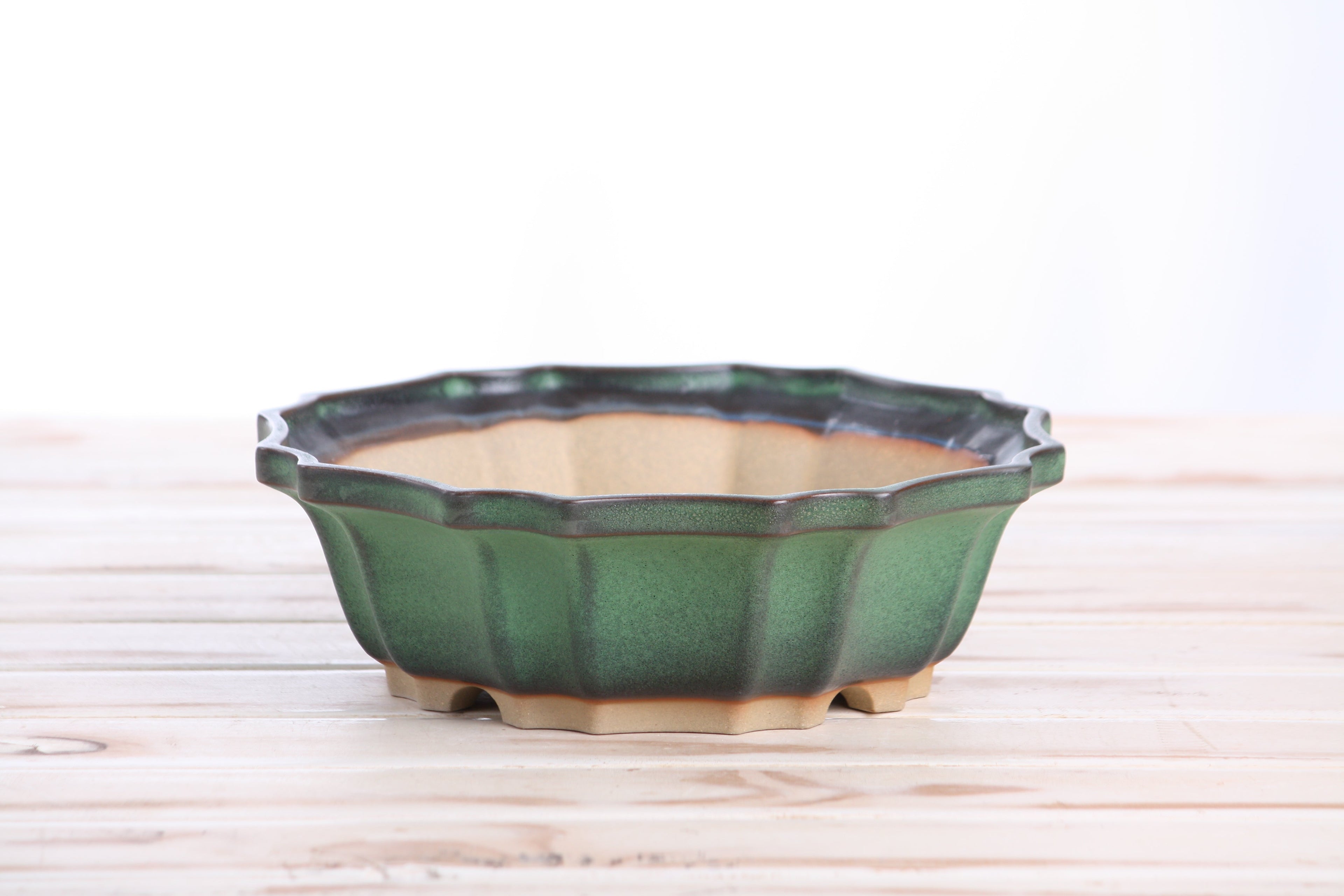Willow Bonsai Ceramics Flower Design Bonsai Pot 8 Inch – Elegant Ceramic Bonsai & Succulent Planter, High‑Fired Frost‑Proof Stoneware with Drainage & Wiring Holes, Handmade in USA (Avocado)