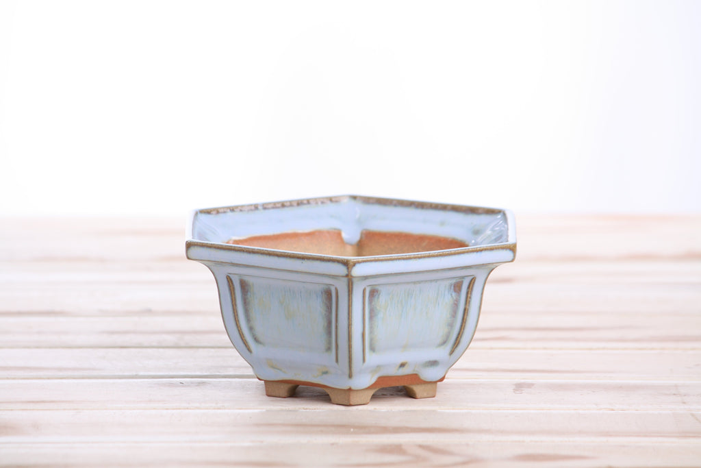 Willow Bonsai Ceramics Hexagonal Windowed Bonsai Pot 5 Inch – Semi‑Cascade Planter, High‑Fired Frost‑Proof Stoneware with Drainage & Wiring Holes, Handmade in USA (Glacier)