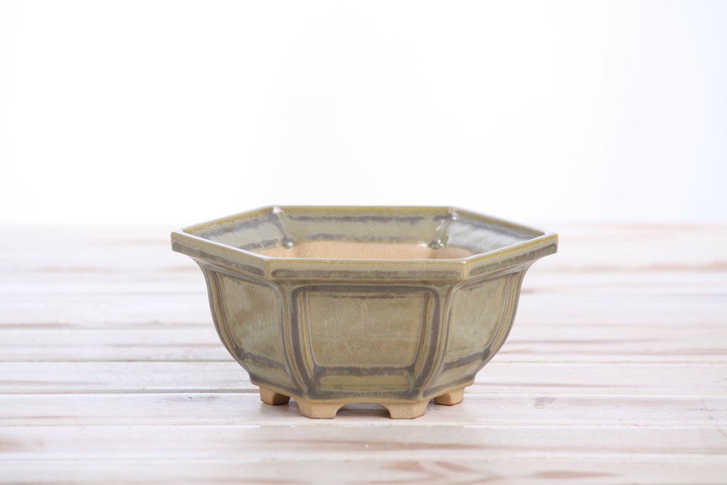 Willow Bonsai Ceramics Hexagonal Windowed Bonsai Pot 5 Inch – Semi‑Cascade Planter, High‑Fired Frost‑Proof Stoneware with Drainage & Wiring Holes, Handmade in USA (Copenhagen)