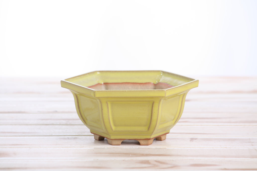 Willow Bonsai Ceramics Hexagonal Windowed Bonsai Pot 5 Inch – Semi‑Cascade Planter, High‑Fired Frost‑Proof Stoneware with Drainage & Wiring Holes, Handmade in USA (Yellow)