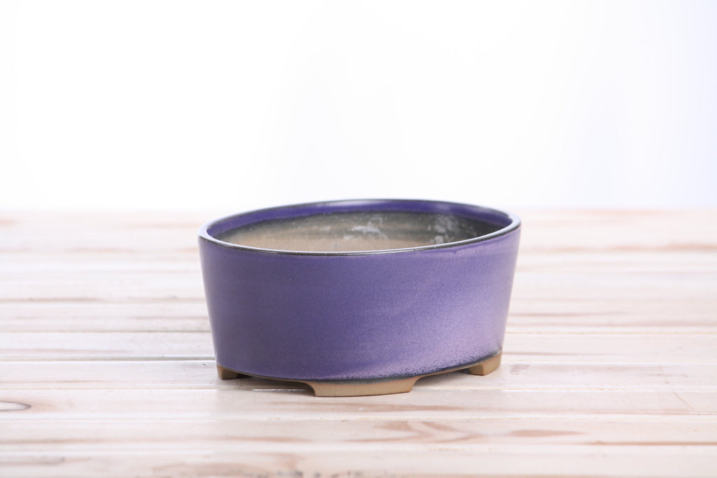 Willow Bonsai Ceramics Oval A Bonsai Pot 6 Inch – Straight‑Sided Oval Ceramic Bonsai & Succulent Planter, High‑Fired Frost‑Proof Stoneware with Drainage & Wiring Holes, Handmade in USA (Purple)
