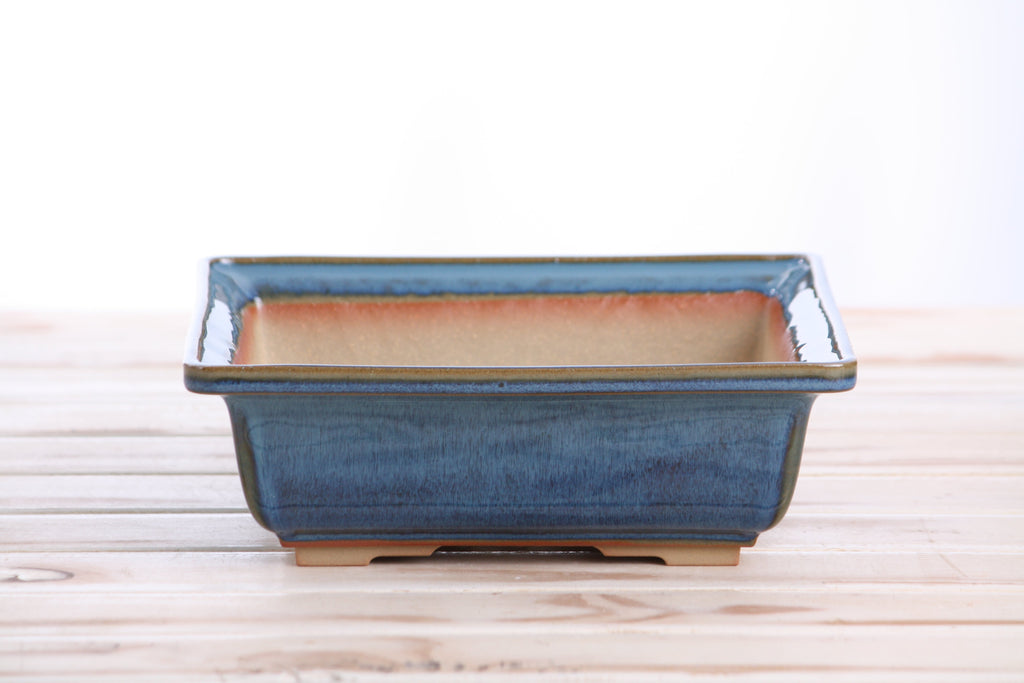 Willow Bonsai Ceramics Square Bonsai Pot 8 Inch – Low‑Profile Square Ceramic Bonsai & Succulent Planter with Accentuated Rim, High‑Fired Frost‑Proof Stoneware, Handmade in USA (Peacock 2025)